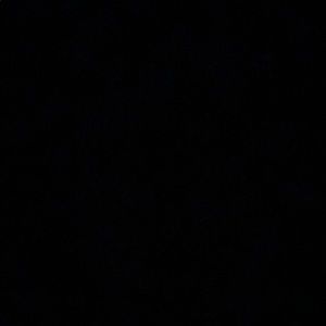 Meet your Posher, Frank